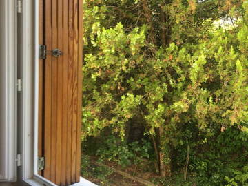 Logement Entier Gap 27601-11