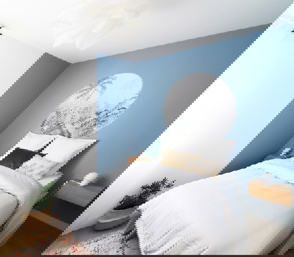 Kolokation Schiltigheim 264915