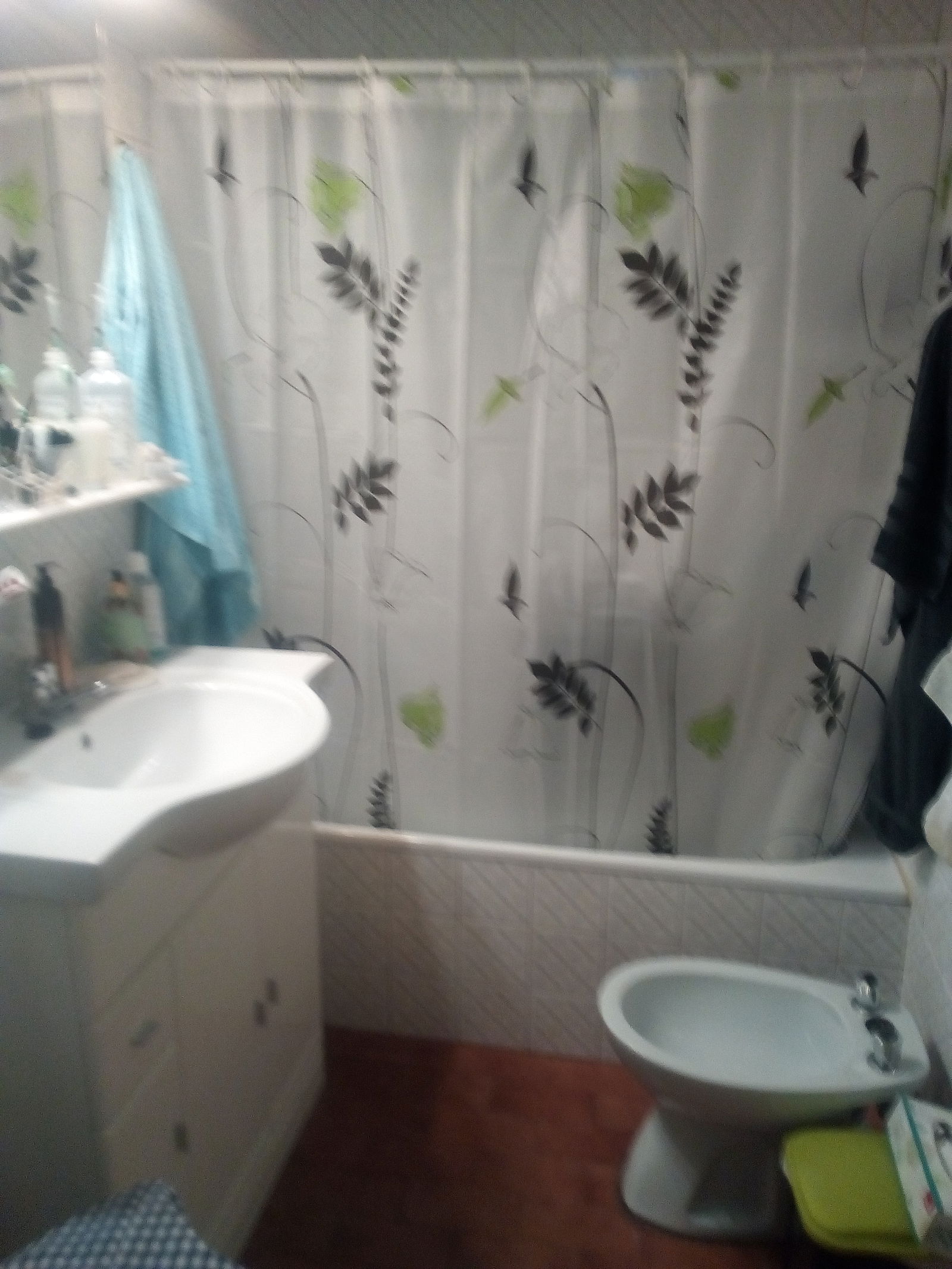 Gastfamilie Santander 340076