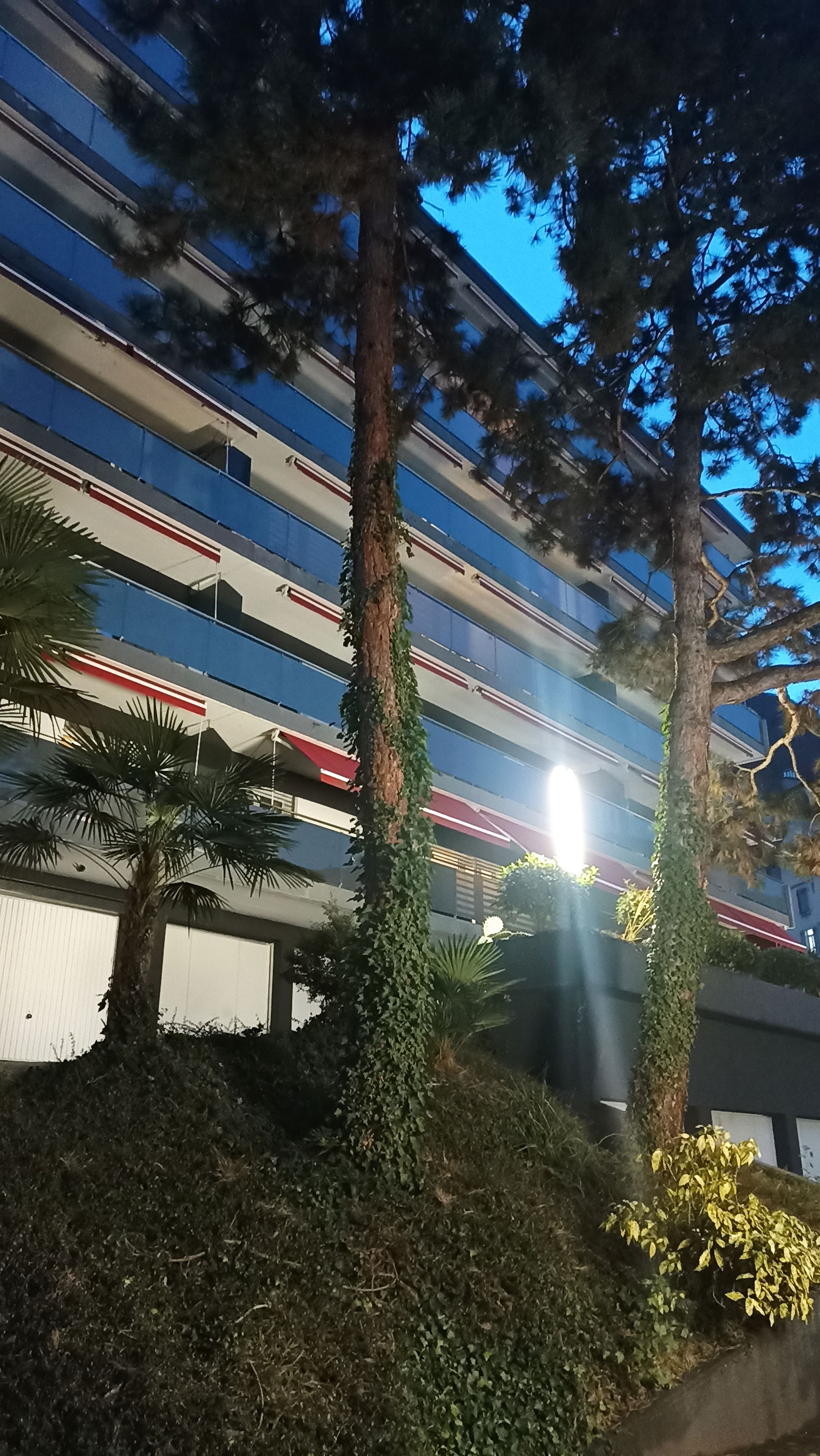 Famiglia Territet 329778