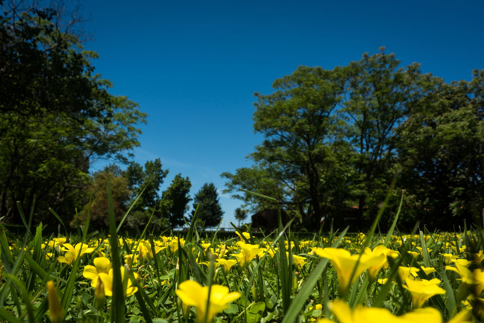 Homestay Los Cardales 201890