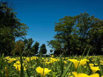 Homestay Los Cardales 201890-6