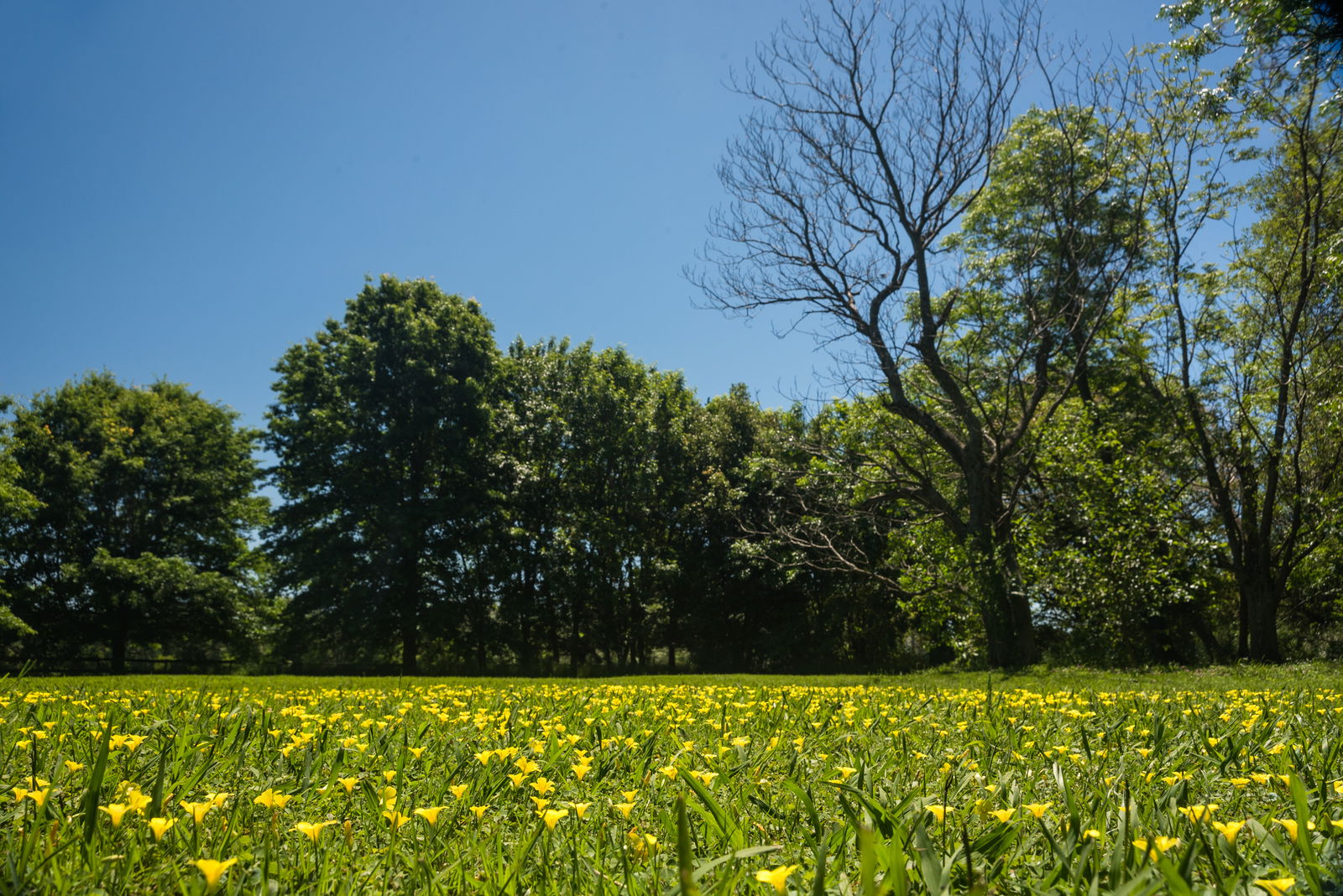 Homestay Los Cardales 201890