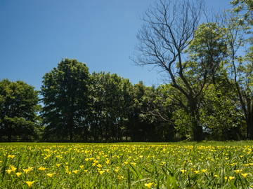 Homestay Los Cardales 201890-7