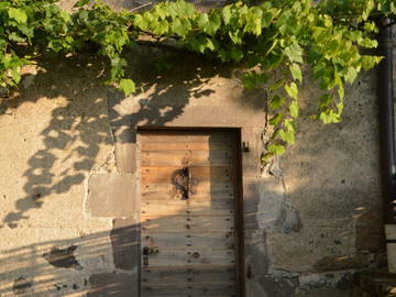Chambre Chez L'habitant Saint-Arcons-D'allier 109727-5