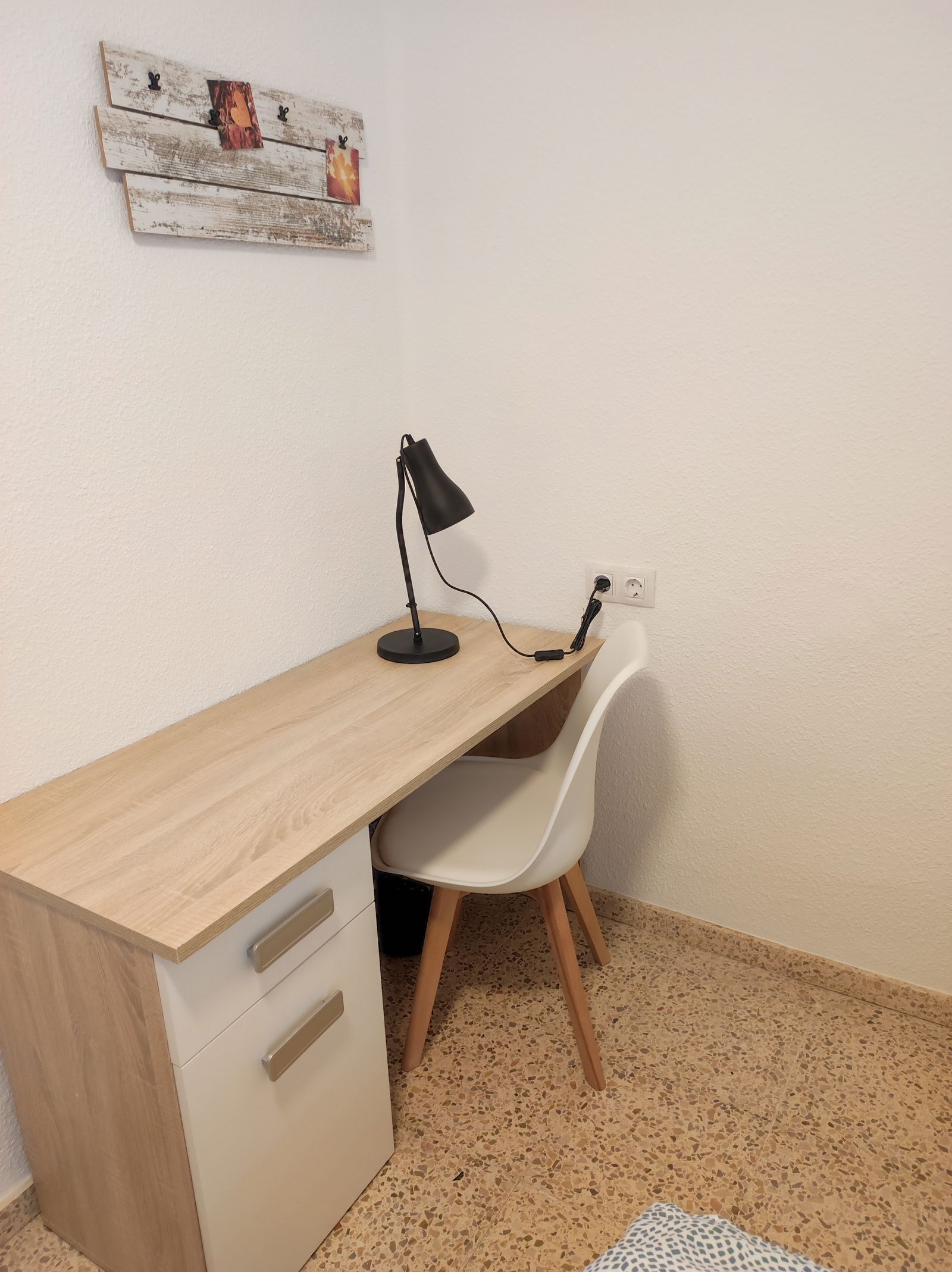 Colocation Burjassot 266682