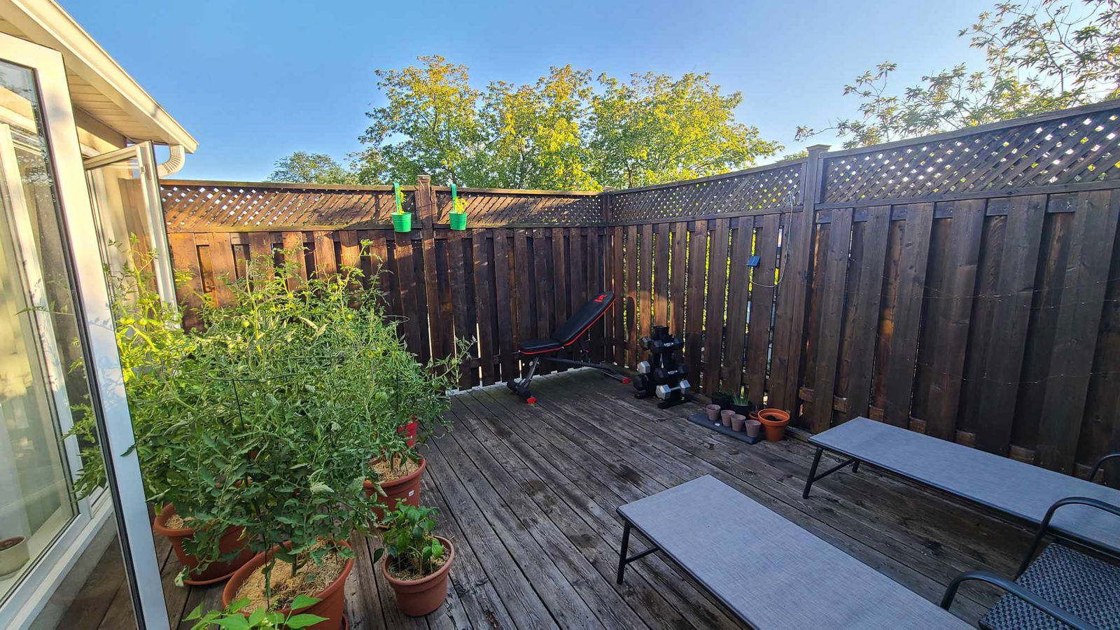 Colocation Toronto 285543