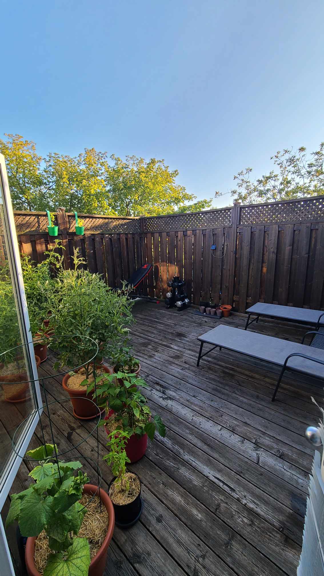 Collocazione Toronto 285543