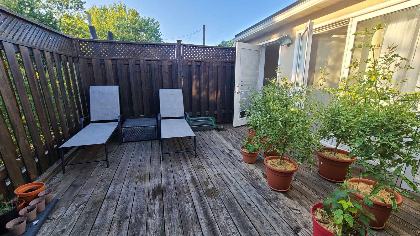 Collocazione Toronto 285543