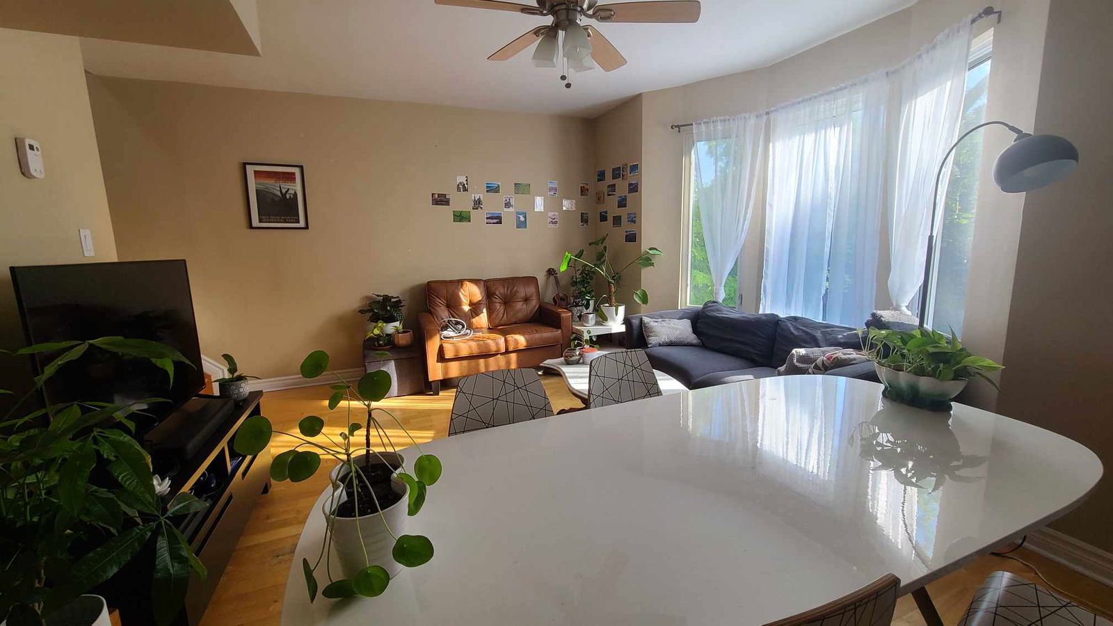 Colocación Toronto 285543