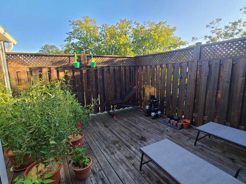 Colocation Toronto 285543-4