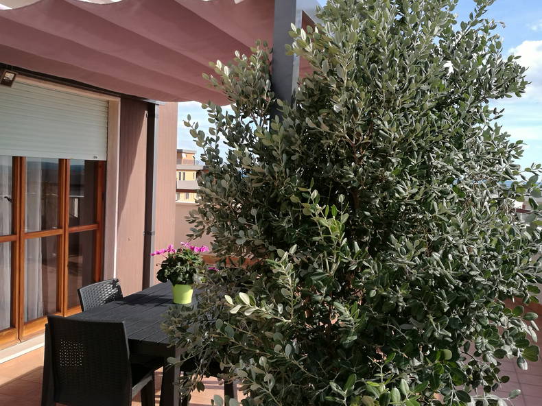 Toda La Casa Monopoli 196987-1