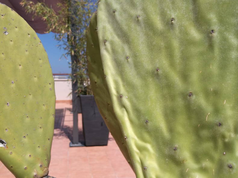 Toda La Casa Monopoli 196987-2