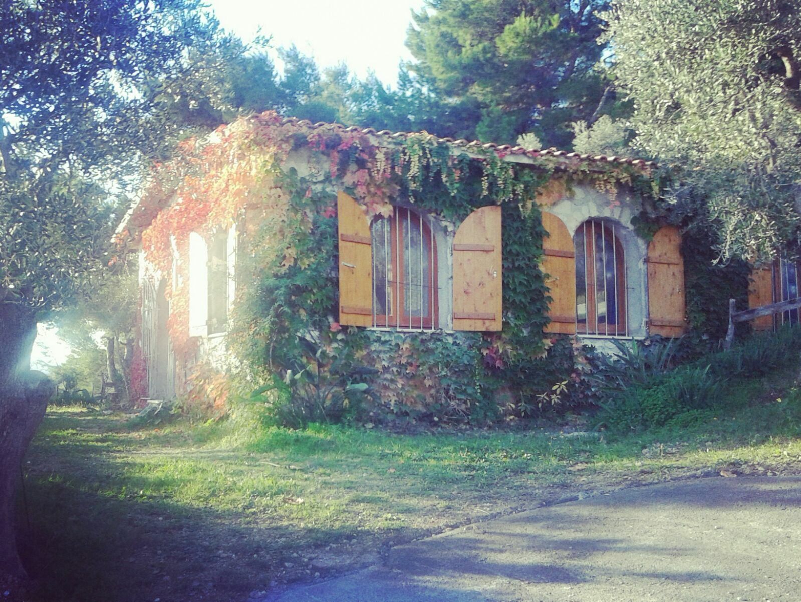 Estudio Independiente Pouilles 154511
