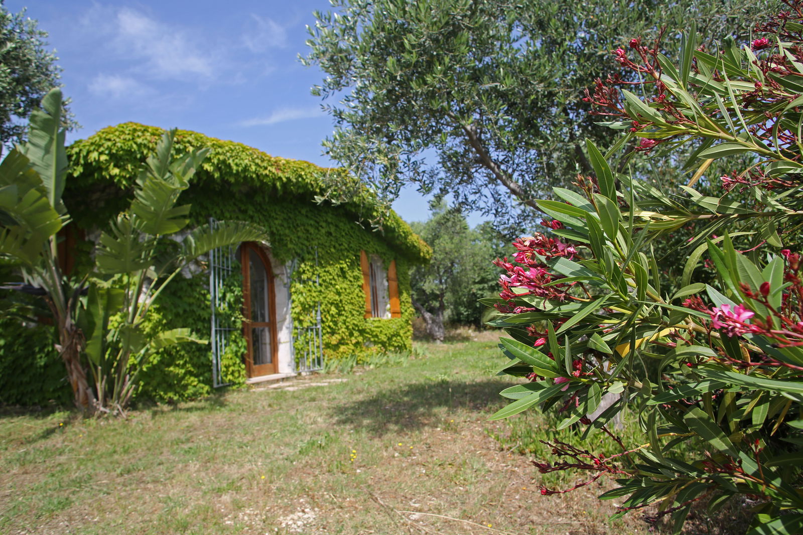 Estudio Independiente Pouilles 154511