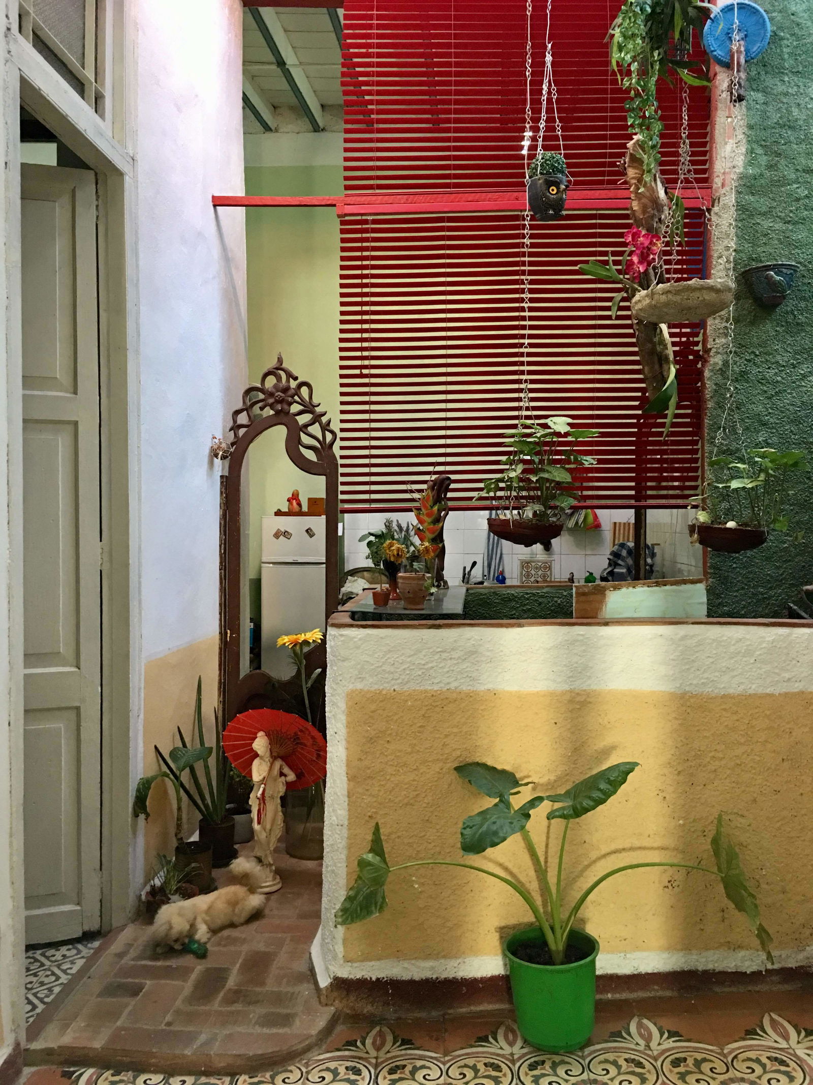 Unabhängiges Studio La Habana 162804