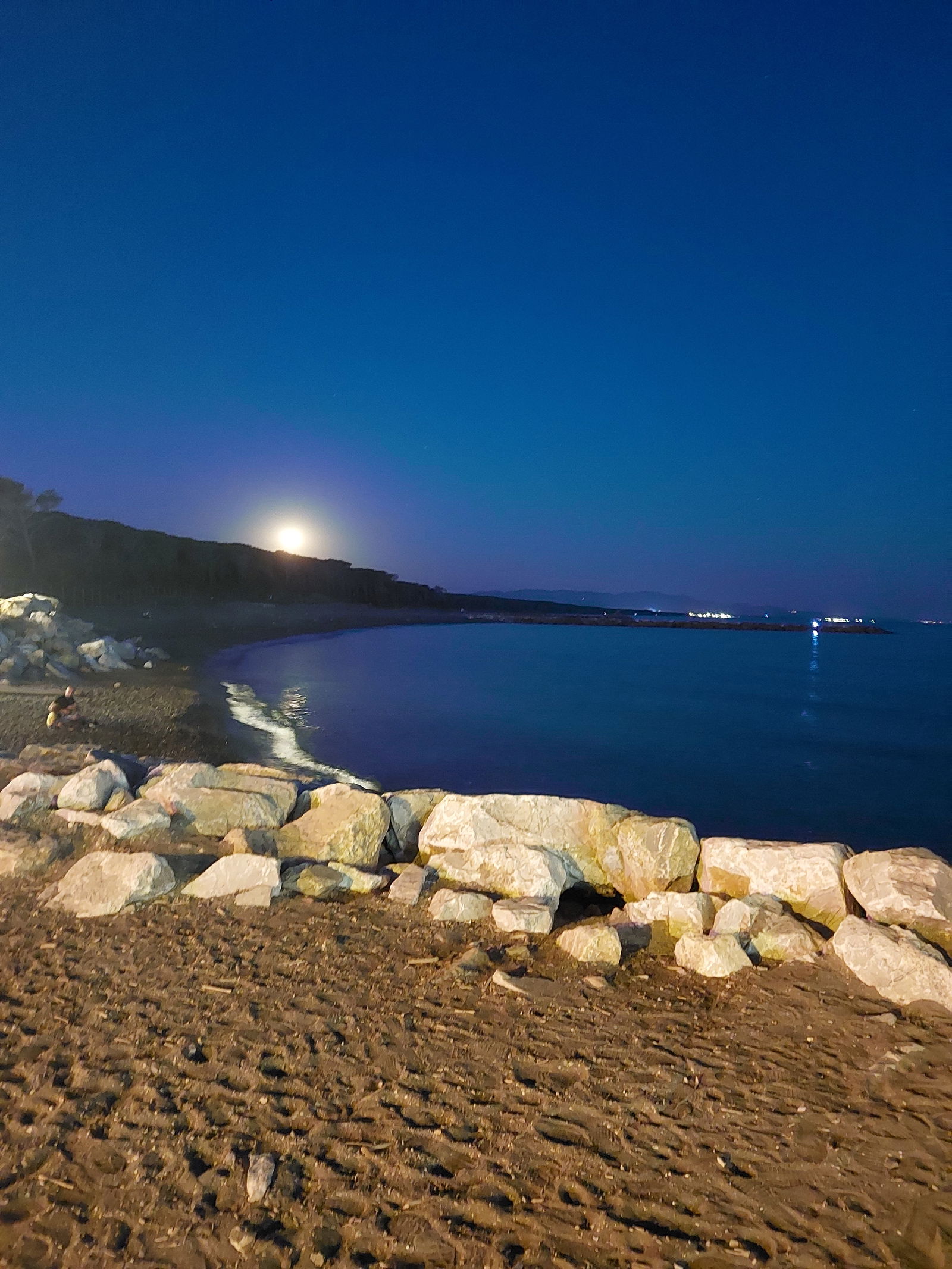 Colocation Cecina 266531