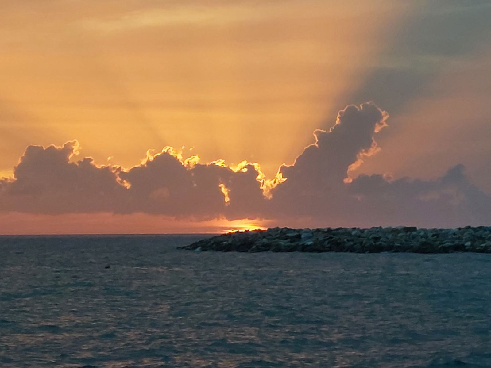 Colocation Cecina 266531