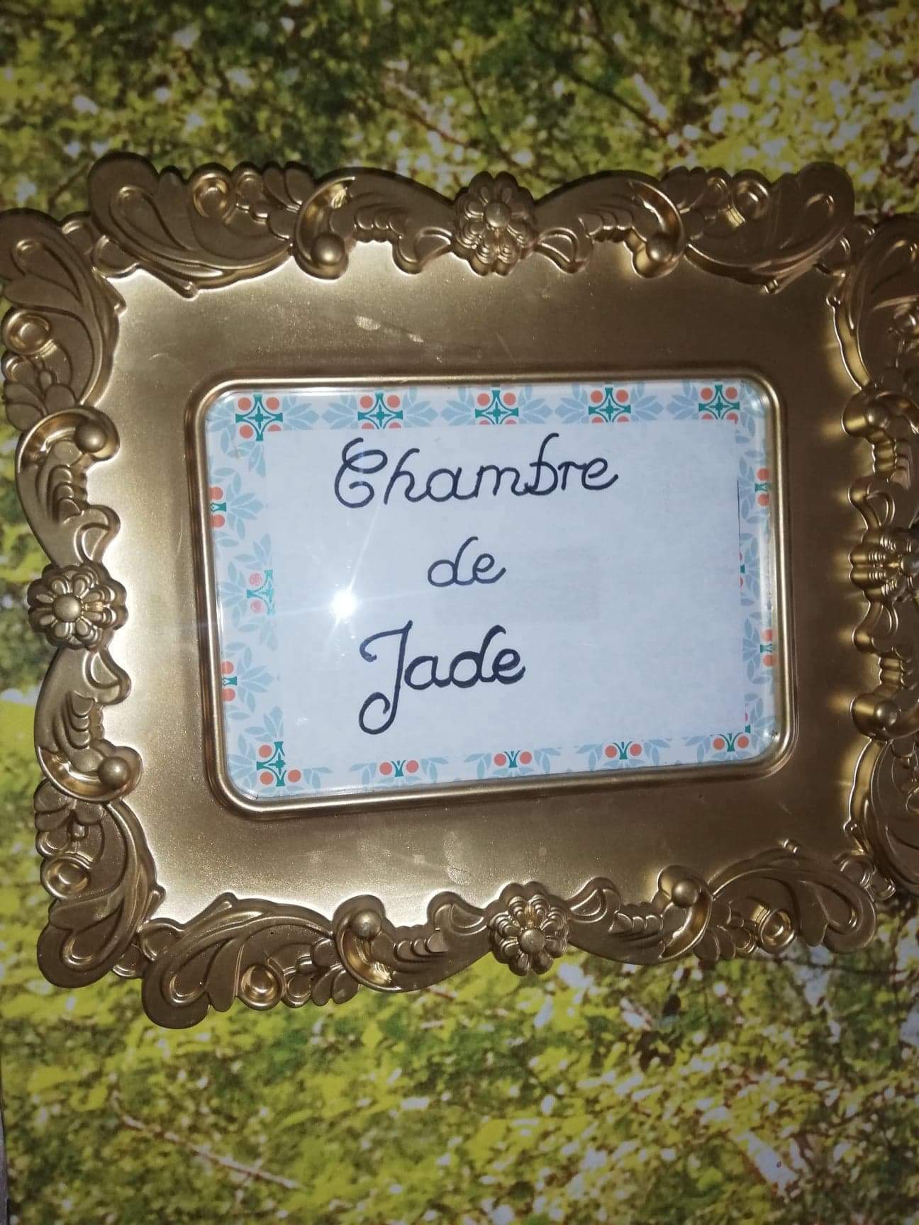 Gastfamilie Morsains 242249