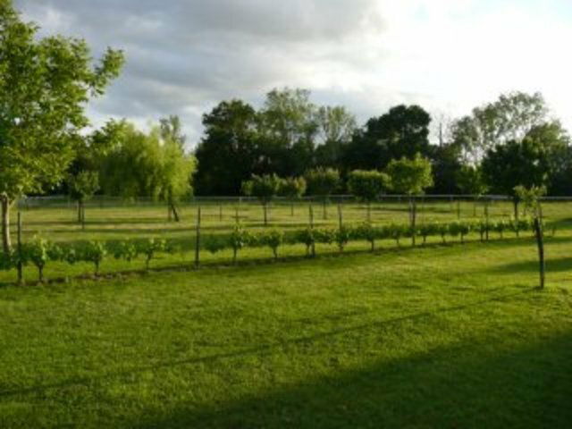 Järjestäminen Lagruère 39835