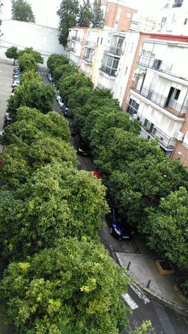 Hemvistelse Sevilla 184376