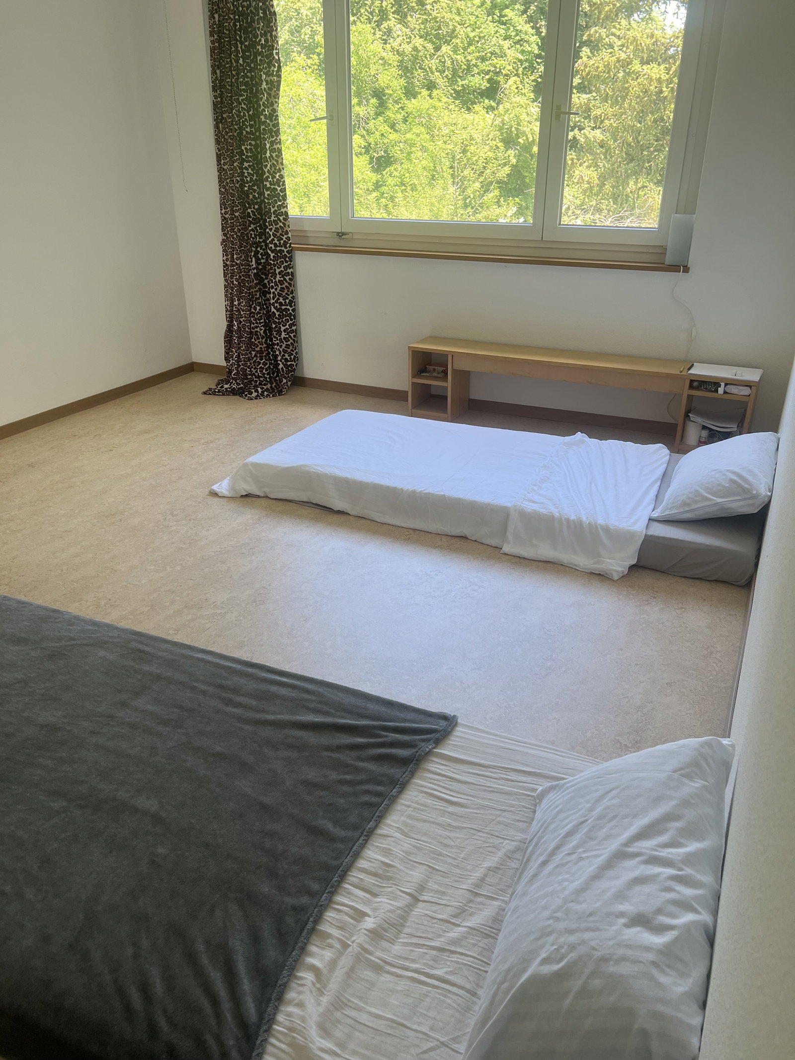 Homestay Zürich 667382