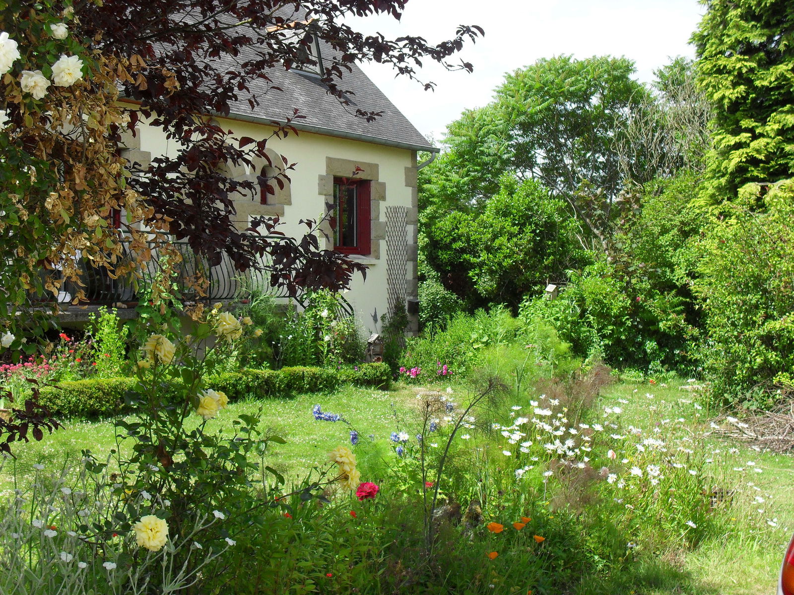 Homestay Plouisy 176957