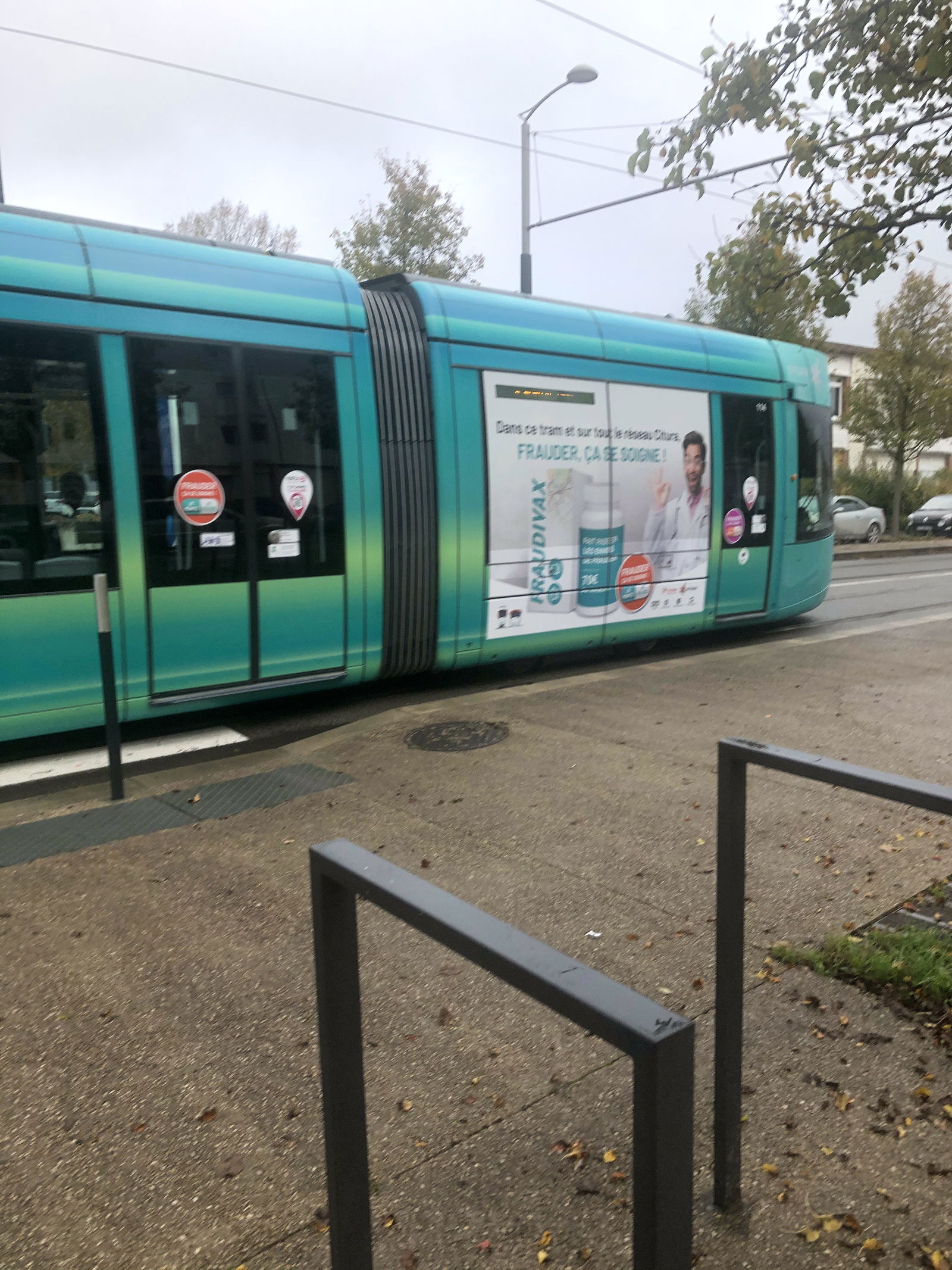 Kolokasie Reims 256644