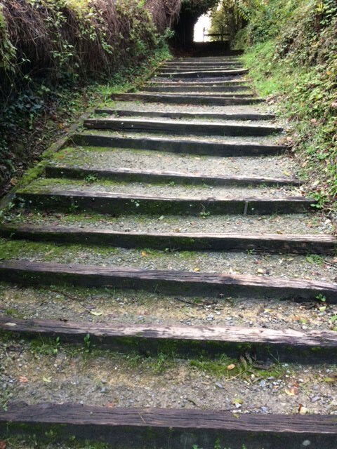 Zakwaterowanie U Rodziny Laon 241591