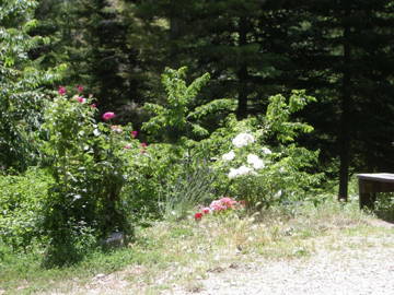 Chambre À Louer Valbelle 65089