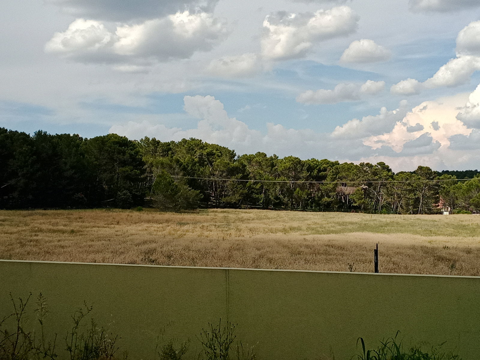 Cały Dom Nîmes 267217