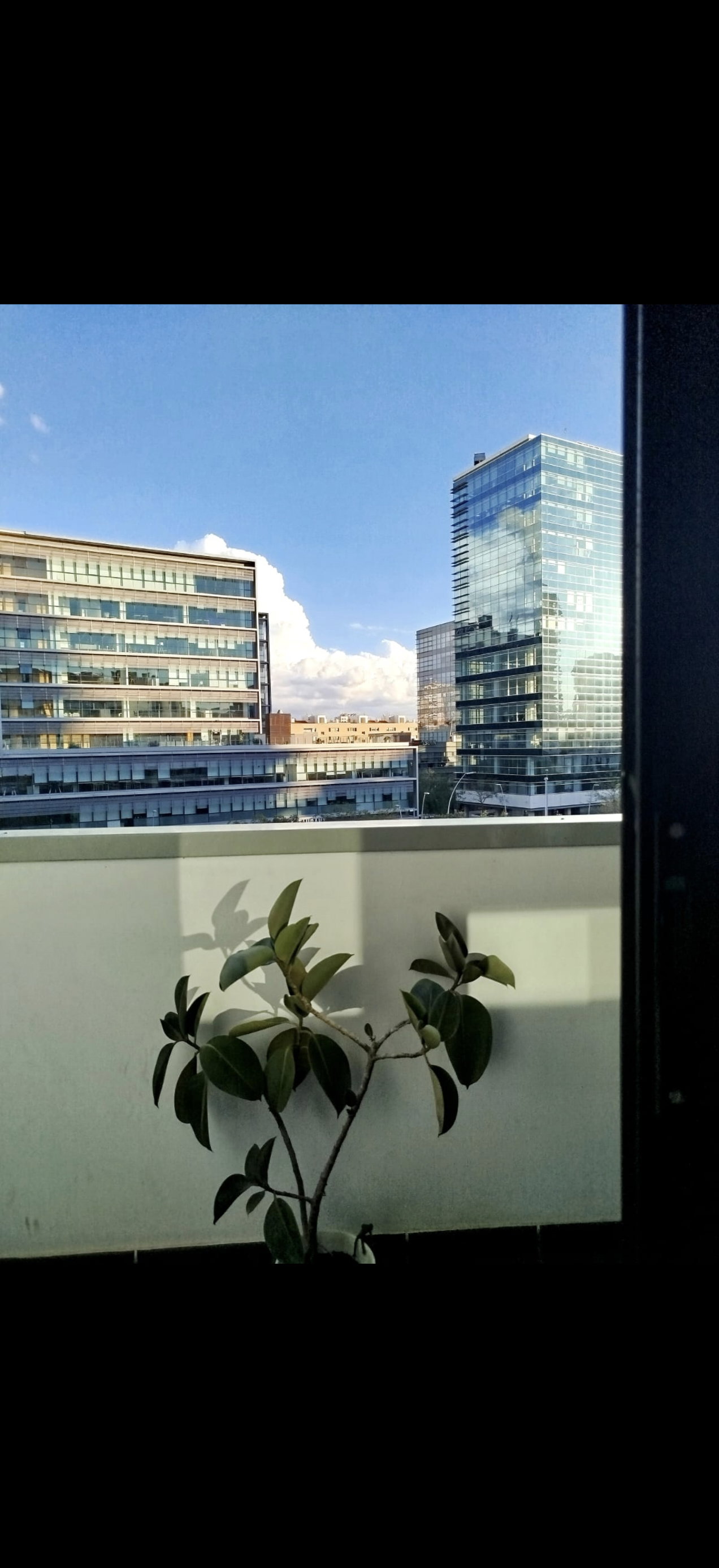 Chambre Chez L'habitant Barcelona 669876