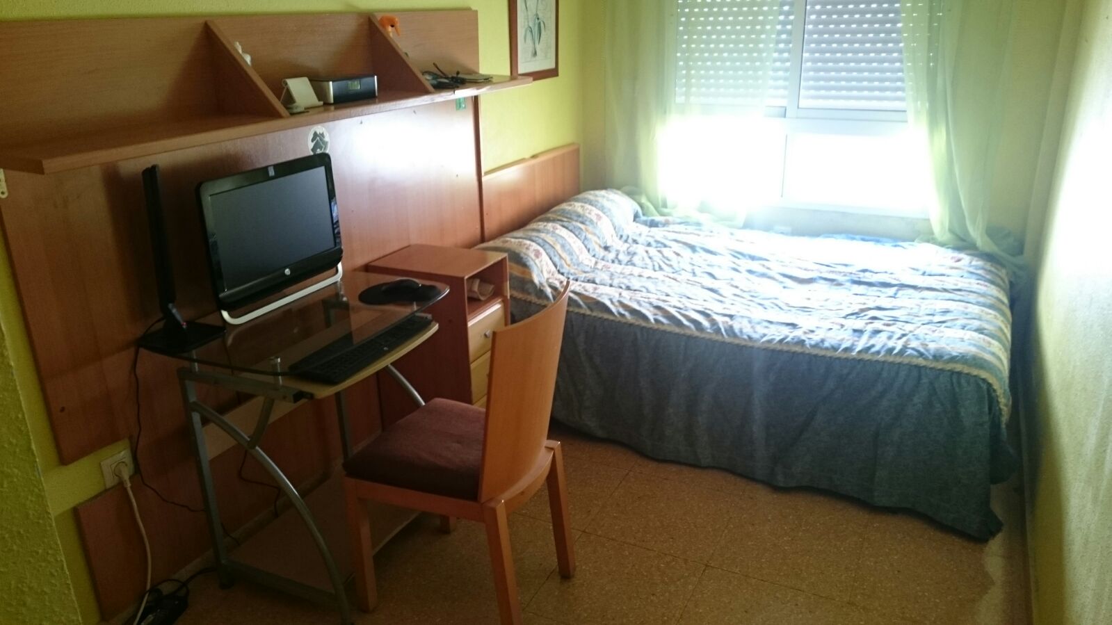 Colocation Alicante 674659