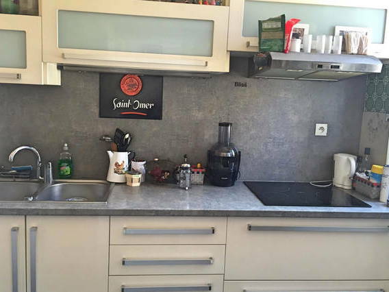 Kolokasie Nice 131570-4