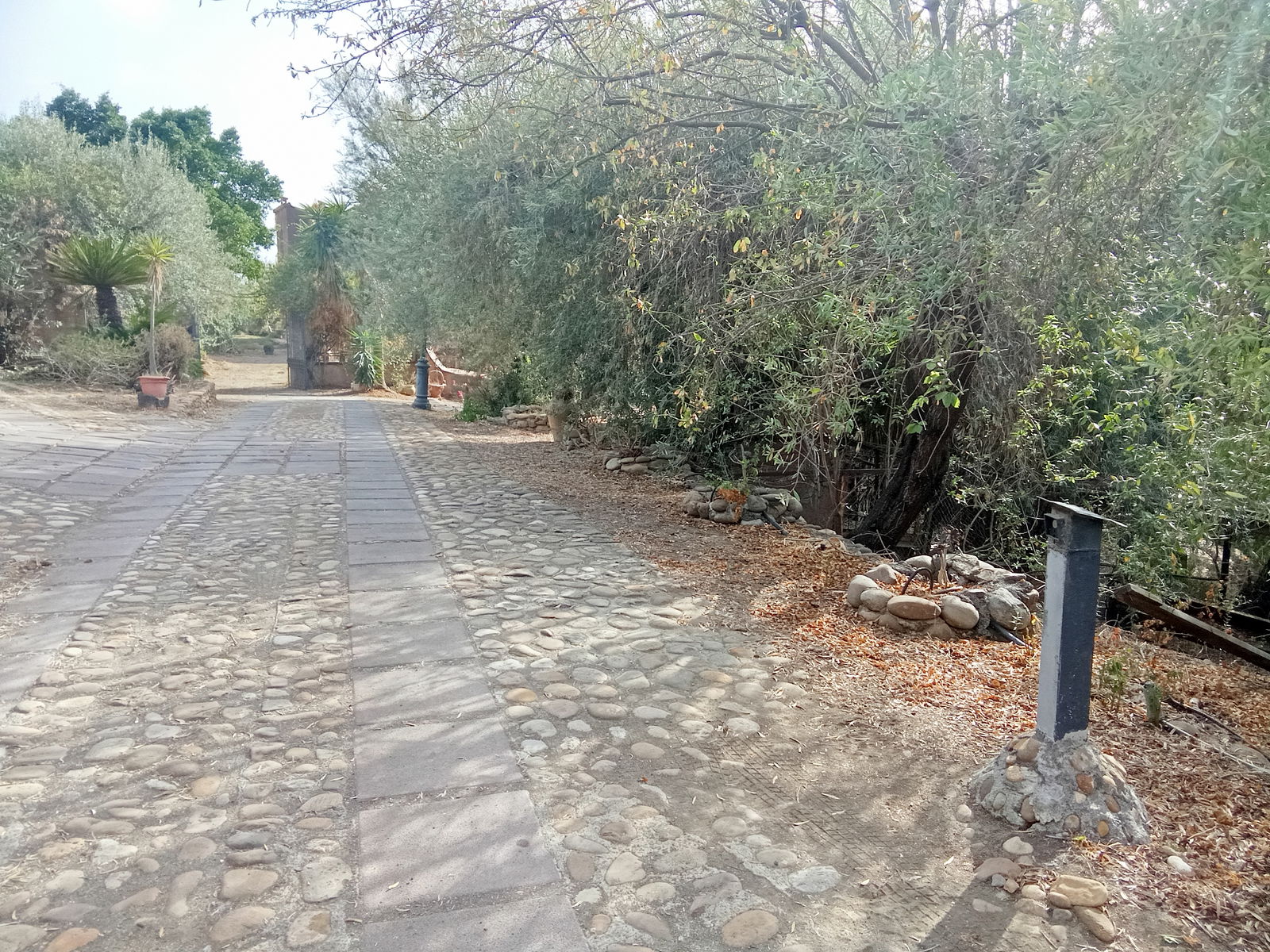 Gæsteværelser Misterbianco 417203