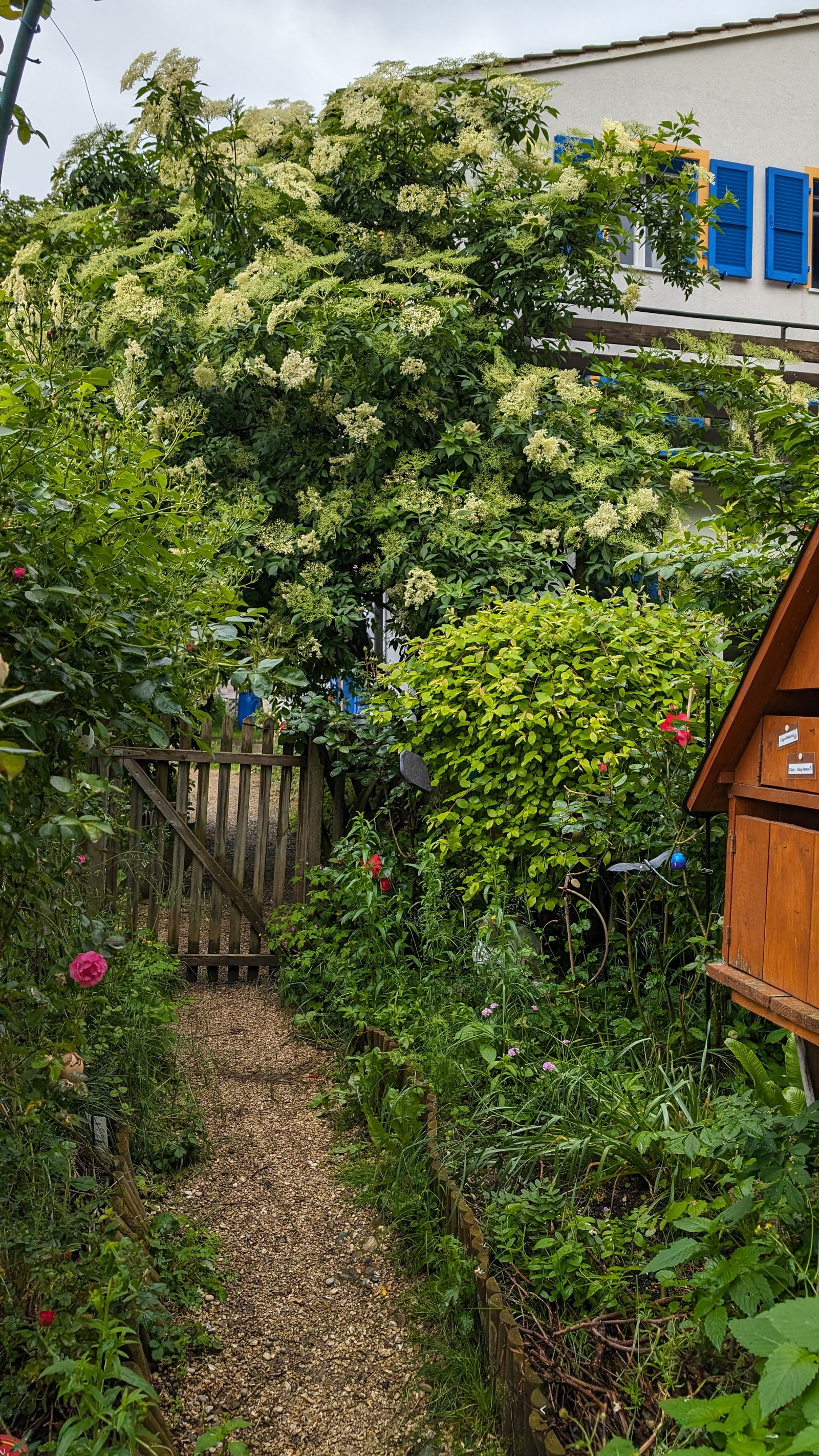 Homestay Courtételle 377973