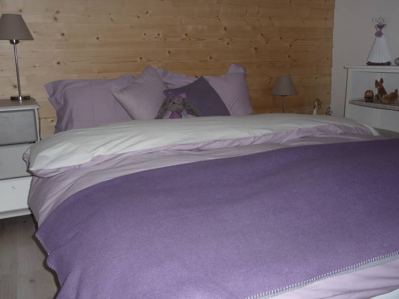 Logement Entier Annecy 220993-1