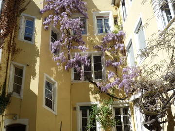 Chambre À Louer Strasbourg 58507