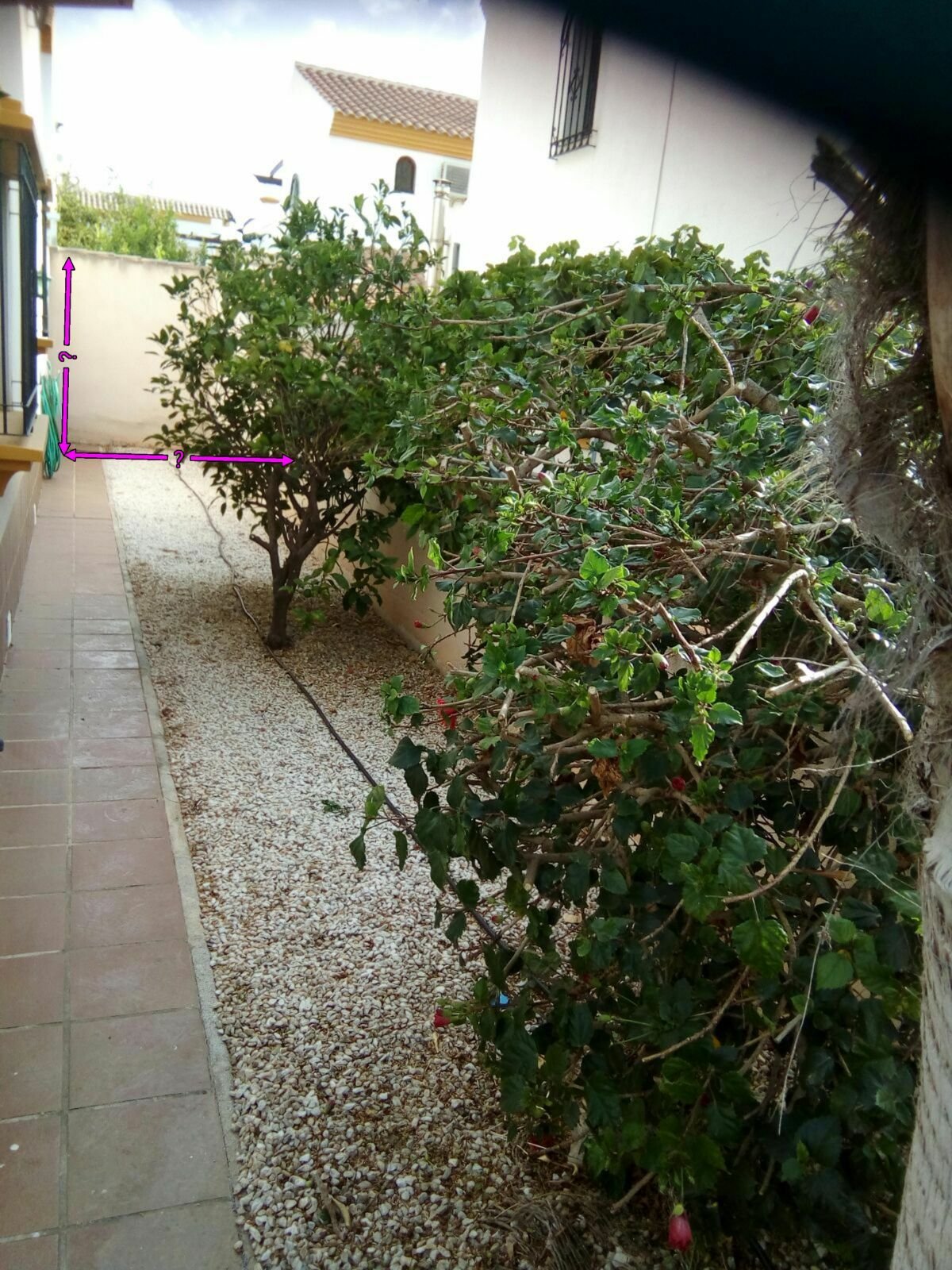 Onofhängeg Studio Orihuela 260376