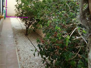 Logement entier à louer à Orihuela - photo 3-3