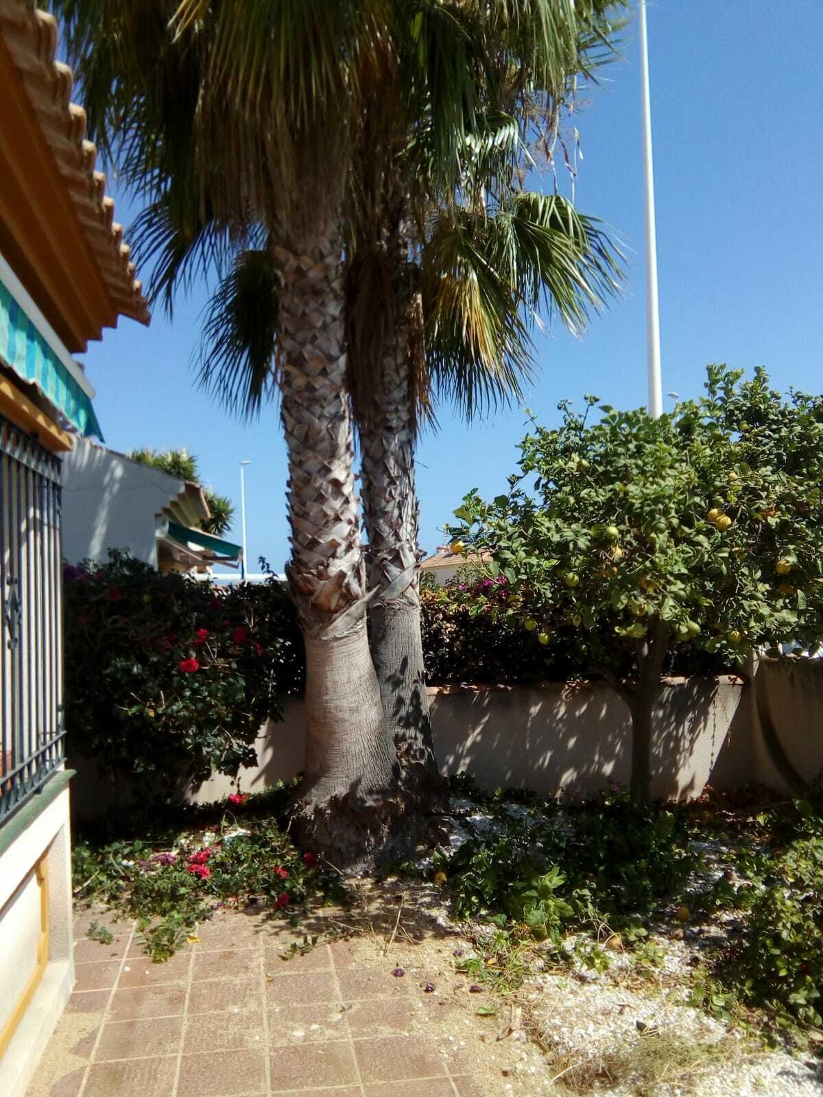 Onofhängeg Studio Orihuela 260376