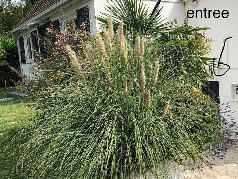 Logement Entier Lamorlaye 226569-3