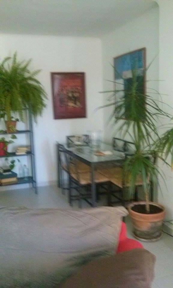 Chambre Chez L'habitant Palma de Mallorca 104143