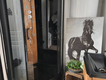 Chambre chez l'habitant à louer à Royan - photo 3 : salle de bain-3