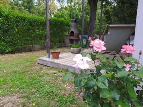 Bonito Estudio Con Terraza