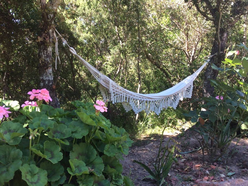 Entire Home Porto-Vecchio 178201-1