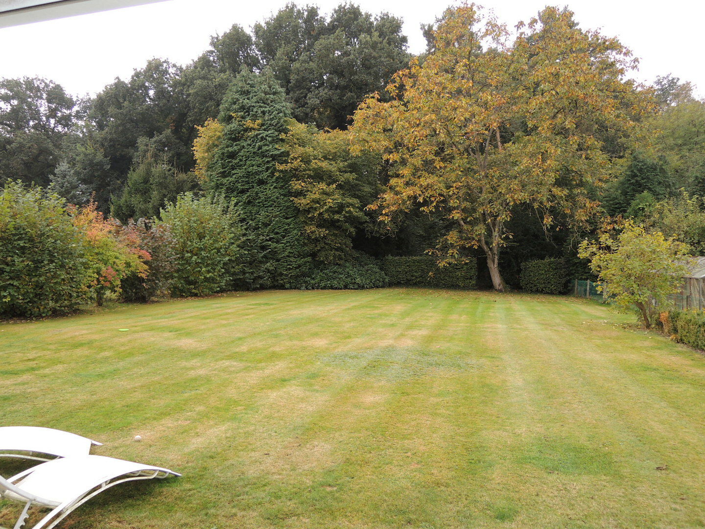 Chambre Chez L'habitant Lasne 150569