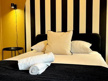 Logement entier à louer à Lyon - photo 21 : chambre-21