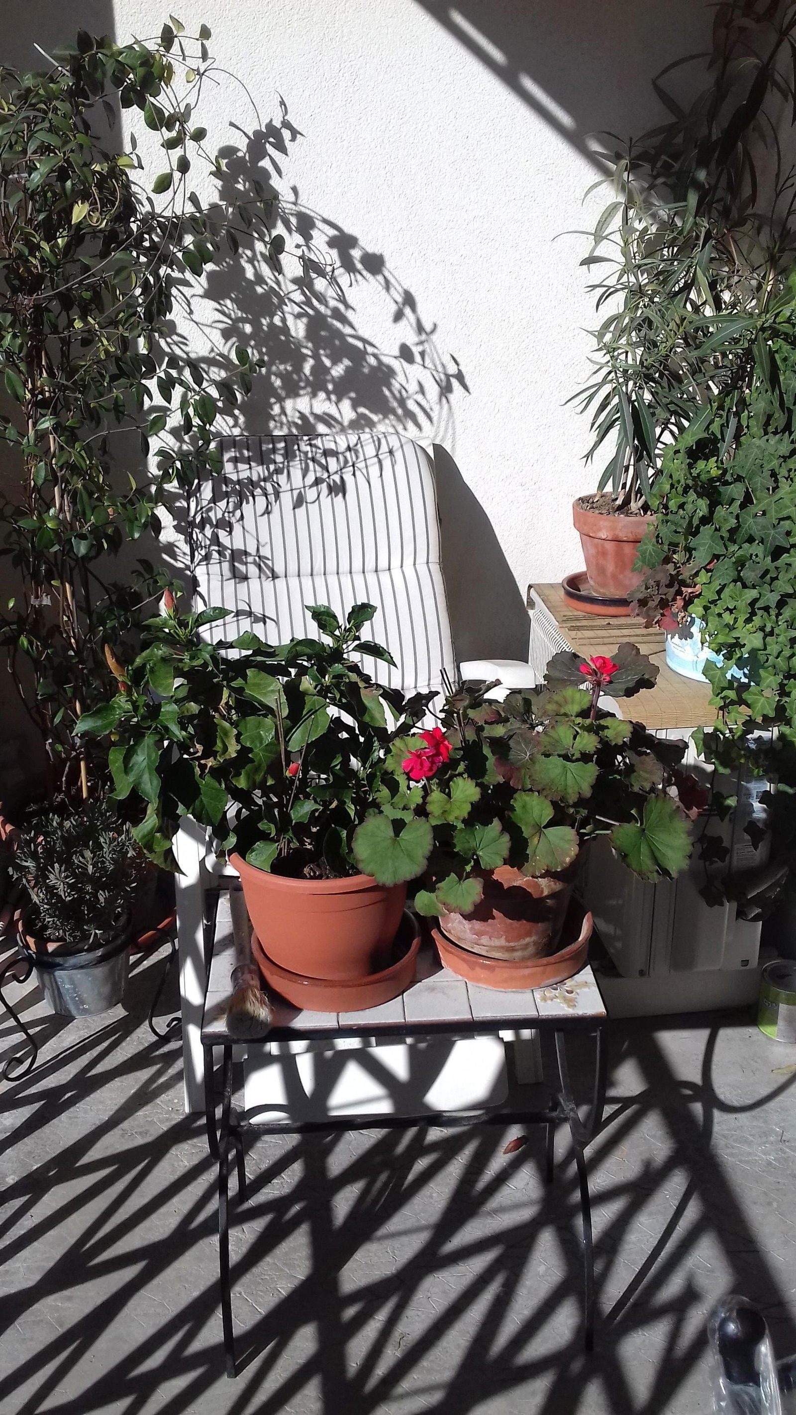 Oberoende Studio Sète 196332