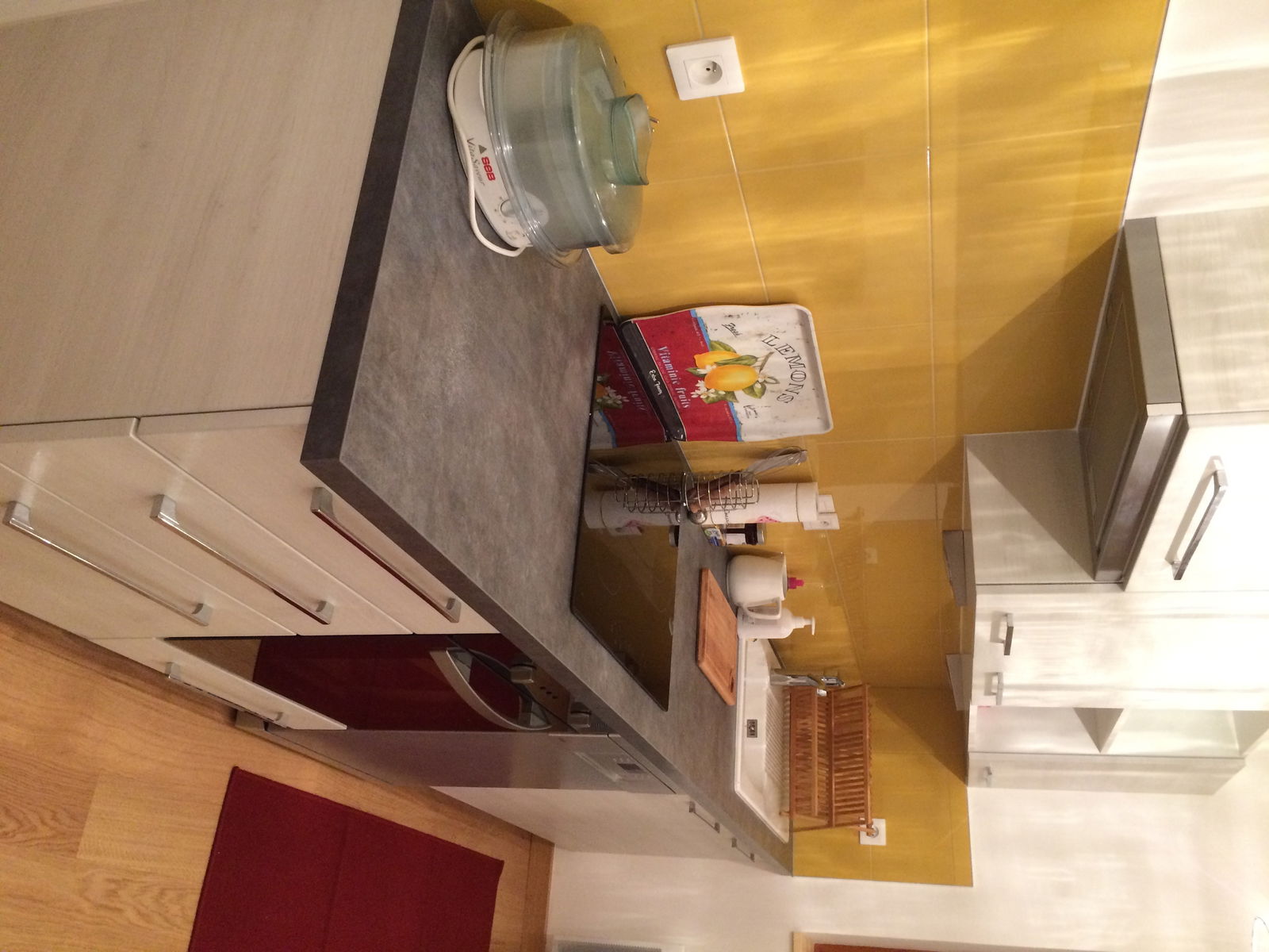 Logement Entier Annecy 49363